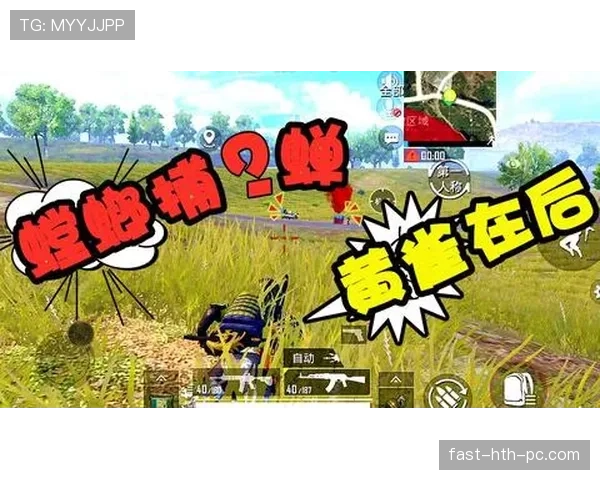 巴尔科拉的速度依赖症：战术局限与角色突破路径